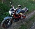 Senke 4310, объемом двигателя 0.25 л и пробегом 0 тыс. км за 53000 $, фото 1 на Automoto.ua