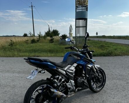 Senke 6510, объемом двигателя 0.25 л и пробегом 0 тыс. км за 1250 $, фото 1 на Automoto.ua