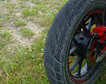 Senke Другая, объемом двигателя 0.25 л и пробегом 0 тыс. км за 952 $, фото 6 на Automoto.ua