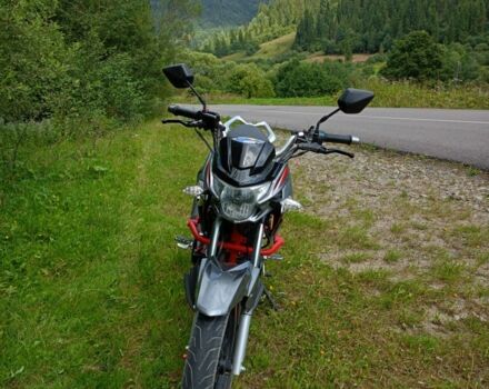 Senke Другая, объемом двигателя 0.25 л и пробегом 0 тыс. км за 952 $, фото 3 на Automoto.ua