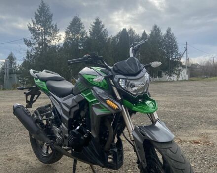 Senke Leopard, объемом двигателя 0.25 л и пробегом 0 тыс. км за 950 $, фото 3 на Automoto.ua