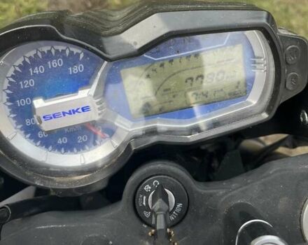 Синий Senke Leopard, объемом двигателя 0.25 л и пробегом 8 тыс. км за 1000 $, фото 5 на Automoto.ua