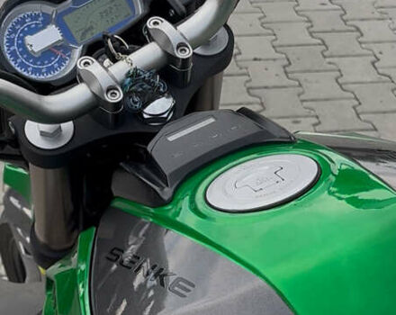 Зеленый Senke Leopard, объемом двигателя 0.25 л и пробегом 6 тыс. км за 1390 $, фото 9 на Automoto.ua