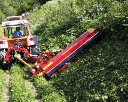 Красный Seppi m Другая, объемом двигателя 6 л и пробегом 0 тыс. км за 9306 $, фото 1 на Automoto.ua