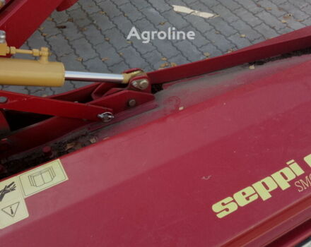 Красный Seppi m Другая, объемом двигателя 6 л и пробегом 0 тыс. км за 9306 $, фото 4 на Automoto.ua