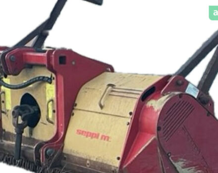 Seppi m Midiforst, об'ємом двигуна 0 л та пробігом 0 тис. км за 28500 $, фото 9 на Automoto.ua