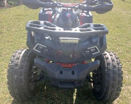 Черный Shark 300 Titan, объемом двигателя 0 л и пробегом 166 тыс. км за 35600 $, фото 11 на Automoto.ua