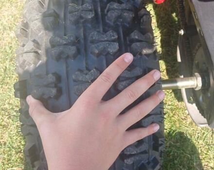 Черный Shark 300 Titan, объемом двигателя 0 л и пробегом 166 тыс. км за 35600 $, фото 2 на Automoto.ua