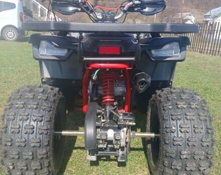 Черный Shark 300 Titan, объемом двигателя 0 л и пробегом 166 тыс. км за 35600 $, фото 9 на Automoto.ua