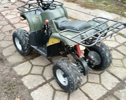 Серый Shark 300 Titan, объемом двигателя 0.3 л и пробегом 2 тыс. км за 3300 $, фото 28 на Automoto.ua