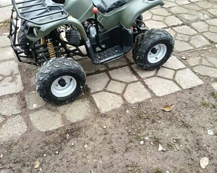 Серый Shark 300 Titan, объемом двигателя 0.3 л и пробегом 2 тыс. км за 3300 $, фото 21 на Automoto.ua