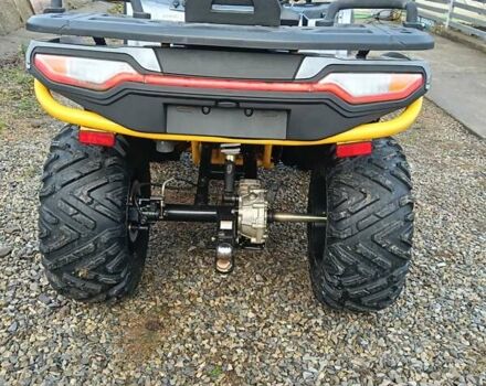 Серый Shark 300 Titan, объемом двигателя 0.3 л и пробегом 2 тыс. км за 3300 $, фото 8 на Automoto.ua