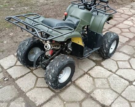 Серый Shark 300 Titan, объемом двигателя 0.3 л и пробегом 2 тыс. км за 3300 $, фото 24 на Automoto.ua