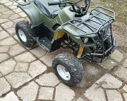 Серый Shark 300 Titan, объемом двигателя 0.3 л и пробегом 2 тыс. км за 3300 $, фото 20 на Automoto.ua