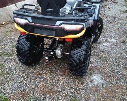 Серый Shark 300 Titan, объемом двигателя 0.3 л и пробегом 2 тыс. км за 3300 $, фото 16 на Automoto.ua