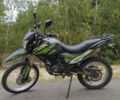 Shinerey DS, объемом двигателя 0 л и пробегом 10 тыс. км за 1100 $, фото 1 на Automoto.ua