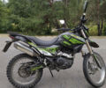 Shinerey DS, объемом двигателя 0 л и пробегом 10 тыс. км за 1100 $, фото 1 на Automoto.ua
