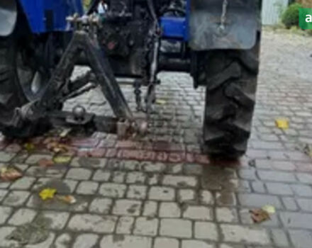 Синтай (XINGTAI) 220, объемом двигателя 0 л и пробегом 0 тыс. км за 3500 $, фото 3 на Automoto.ua