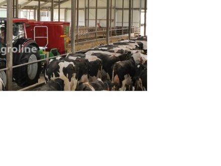 Strautmann Другая, объемом двигателя 0 л и пробегом 0 тыс. км за 24984 $, фото 1 на Automoto.ua