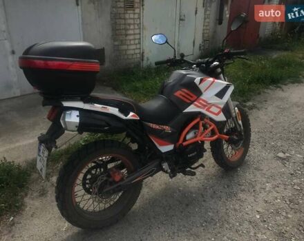Белый Tekken 250, объемом двигателя 0.22 л и пробегом 1 тыс. км за 1500 $, фото 2 на Automoto.ua