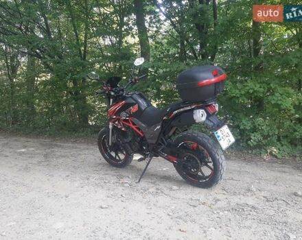 Черный Tekken 250, объемом двигателя 0.25 л и пробегом 6 тыс. км за 1550 $, фото 10 на Automoto.ua