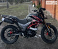 Черный Tekken 250, объемом двигателя 0.25 л и пробегом 4 тыс. км за 1500 $, фото 3 на Automoto.ua