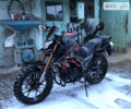 Черный Tekken 250, объемом двигателя 0.25 л и пробегом 4 тыс. км за 1500 $, фото 10 на Automoto.ua