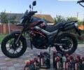 Черный Tekken 250, объемом двигателя 0.25 л и пробегом 4 тыс. км за 1500 $, фото 12 на Automoto.ua