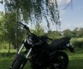 Черный Tekken 250, объемом двигателя 0 л и пробегом 4 тыс. км за 1450 $, фото 1 на Automoto.ua