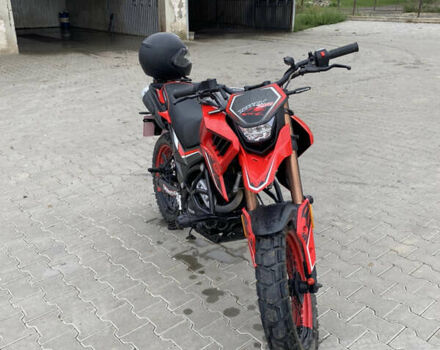 Красный Tekken 250, объемом двигателя 0.22 л и пробегом 5 тыс. км за 1630 $, фото 5 на Automoto.ua