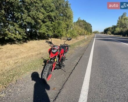 Червоний Tekken 250, об'ємом двигуна 0 л та пробігом 12 тис. км за 1600 $, фото 2 на Automoto.ua