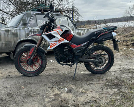 Красный Tekken 250, объемом двигателя 0.25 л и пробегом 10 тыс. км за 1206 $, фото 6 на Automoto.ua