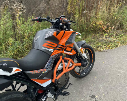 Tekken 250, объемом двигателя 0 л и пробегом 7 тыс. км за 1300 $, фото 4 на Automoto.ua