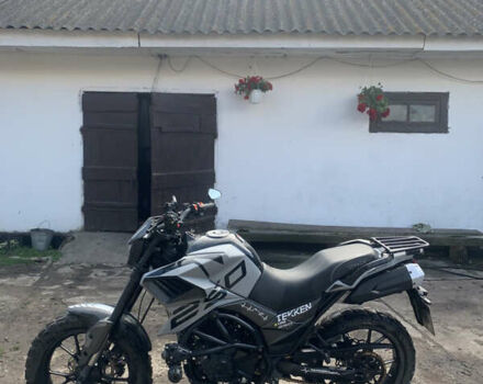 Tekken 250, объемом двигателя 0 л и пробегом 10 тыс. км за 1300 $, фото 3 на Automoto.ua