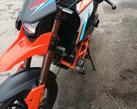 Tekken 250, объемом двигателя 0 л и пробегом 699 тыс. км за 1500 $, фото 5 на Automoto.ua