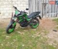 Tekken 250, объемом двигателя 0 л и пробегом 7 тыс. км за 1450 $, фото 2 на Automoto.ua