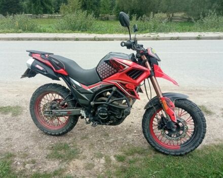 Tekken 250, об'ємом двигуна 0.25 л та пробігом 0 тис. км за 1000 $, фото 2 на Automoto.ua