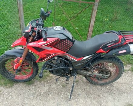 Tekken 250, об'ємом двигуна 0.25 л та пробігом 0 тис. км за 1000 $, фото 4 на Automoto.ua