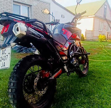 Tekken 250, об'ємом двигуна 0.25 л та пробігом 17 тис. км за 1300 $, фото 7 на Automoto.ua