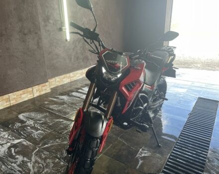 Tekken 250, объемом двигателя 0.22 л и пробегом 0 тыс. км за 1400 $, фото 2 на Automoto.ua