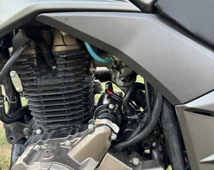 Tekken 250 2023 в Чернигове на Automoto.ua Tekken 250, объемом двигателя 0.25 л и пробегом 0 тыс. км за 1200 $, фото 5 на Automoto.ua