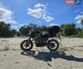 Tekken 250, объемом двигателя 0.25 л и пробегом 4 тыс. км за 1455 $, фото 10 на Automoto.ua