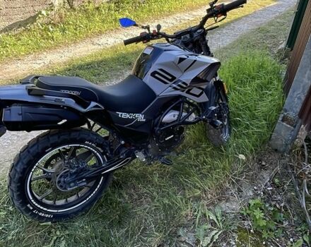 Tekken 250, объемом двигателя 0.25 л и пробегом 0 тыс. км за 1550 $, фото 6 на Automoto.ua