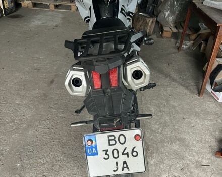 Tekken 250, объемом двигателя 0.25 л и пробегом 0 тыс. км за 1400 $, фото 5 на Automoto.ua