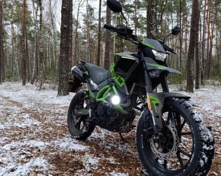 Tekken 250, объемом двигателя 0.25 л и пробегом 0 тыс. км за 1300 $, фото 6 на Automoto.ua