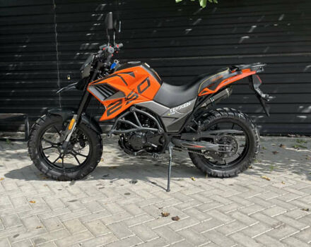 Tekken 250, об'ємом двигуна 0.25 л та пробігом 3 тис. км за 1400 $, фото 6 на Automoto.ua