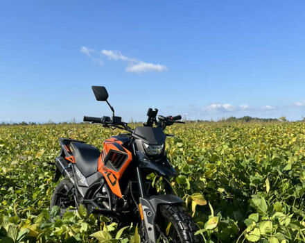 Tekken 250, об'ємом двигуна 0.25 л та пробігом 3 тис. км за 1400 $, фото 3 на Automoto.ua