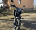 Tekken 250, объемом двигателя 0 л и пробегом 4 тыс. км за 1599 $, фото 4 на Automoto.ua