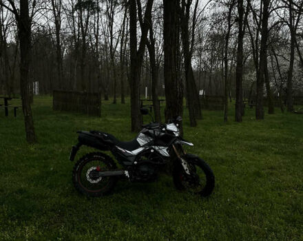 Tekken 250, объемом двигателя 0.25 л и пробегом 12 тыс. км за 1200 $, фото 4 на Automoto.ua