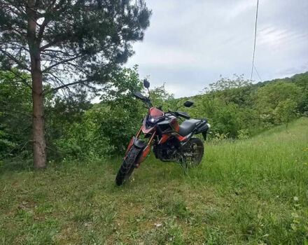 Tekken 250, об'ємом двигуна 0.25 л та пробігом 7 тис. км за 1350 $, фото 4 на Automoto.ua